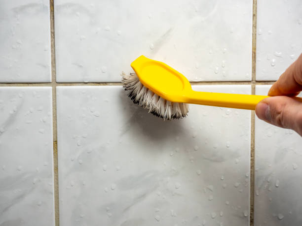 Best Home Mold Removal  in Pamplico, SC