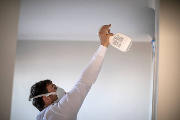 Office Mold Removal Services in Pamplico, SC
