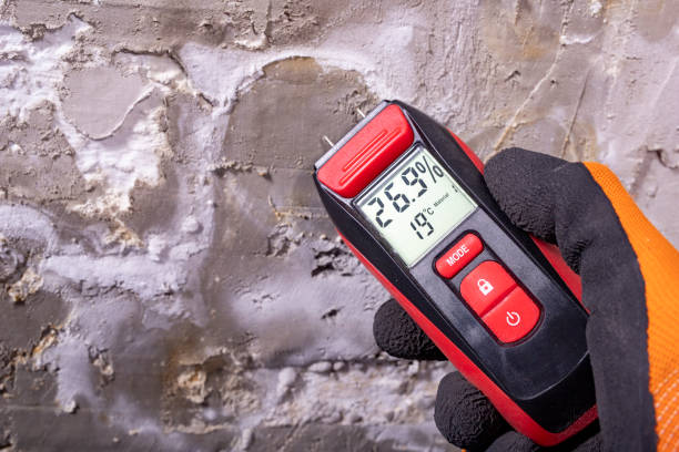 Best Mold Removal and Inspection  in Pamplico, SC